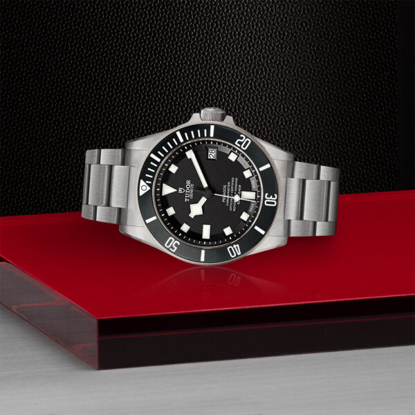 PELAGOS - Image 2